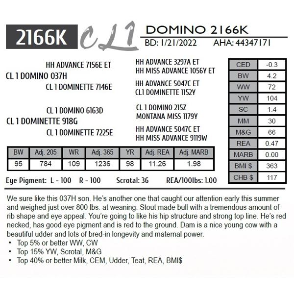CL 1 DOMINO 2166K