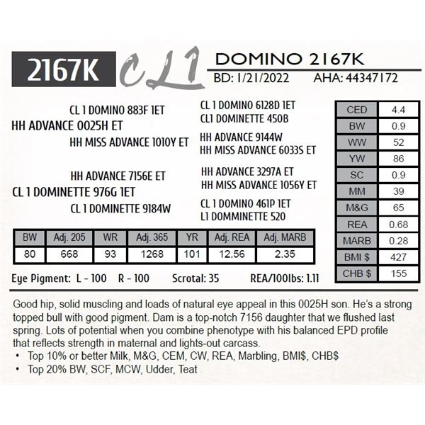 CL 1 DOMINO 2167K
