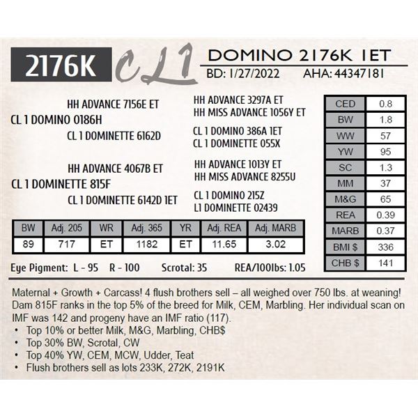 CL 1 DOMINO 2176K 1ET