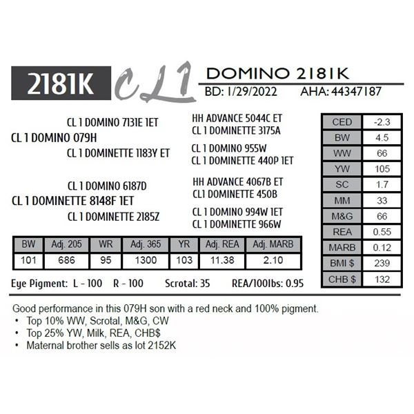 CL 1 DOMINO 2181K