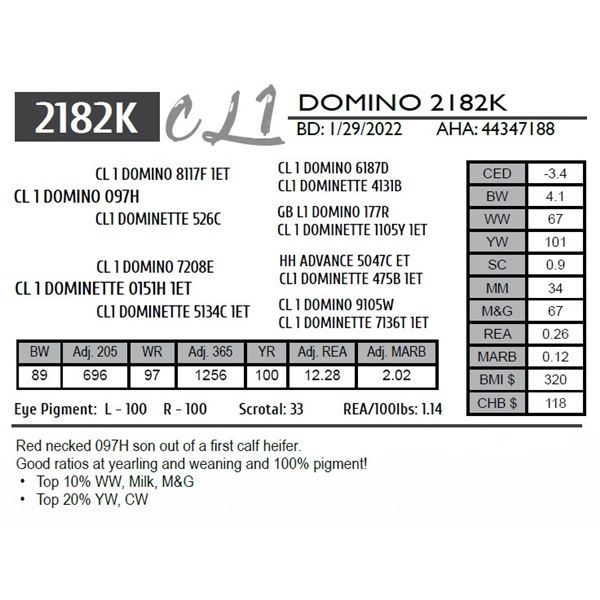 CL 1 DOMINO 2182K