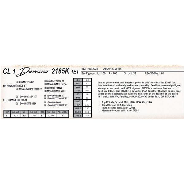 CL 1 DOMINO 2185K 1ET