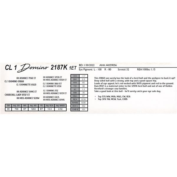 CL 1 DOMINO 2187K 1ET