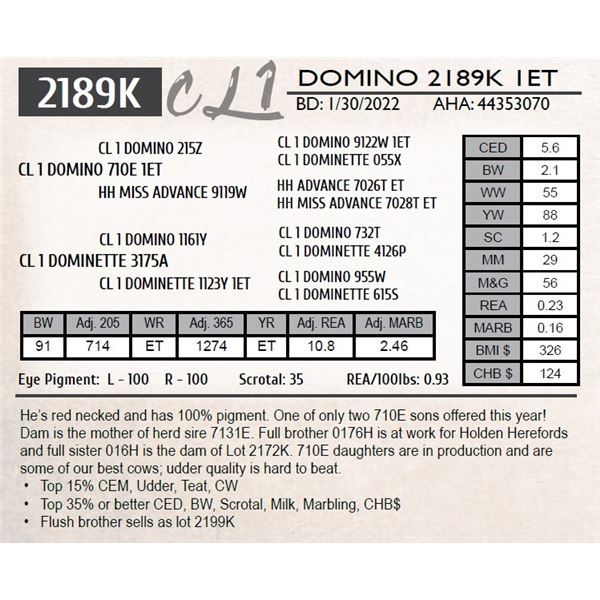 CL 1 DOMINO 2189K 1ET