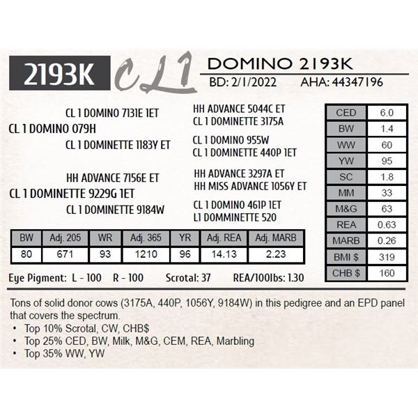 CL 1 DOMINO 2193K