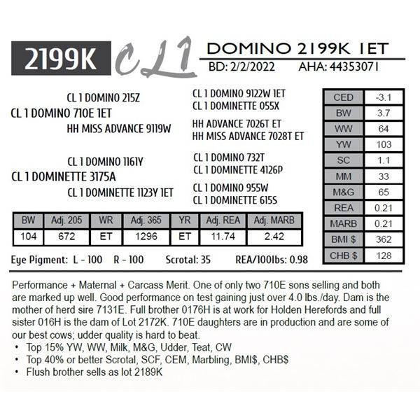CL 1 DOMINO 2199K 1ET