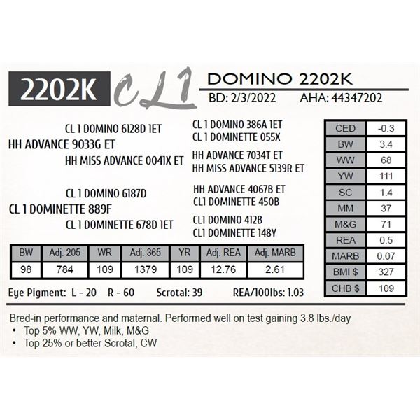 CL 1 DOMINO 2202K