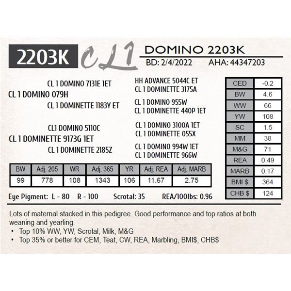 CL 1 DOMINO 2203K