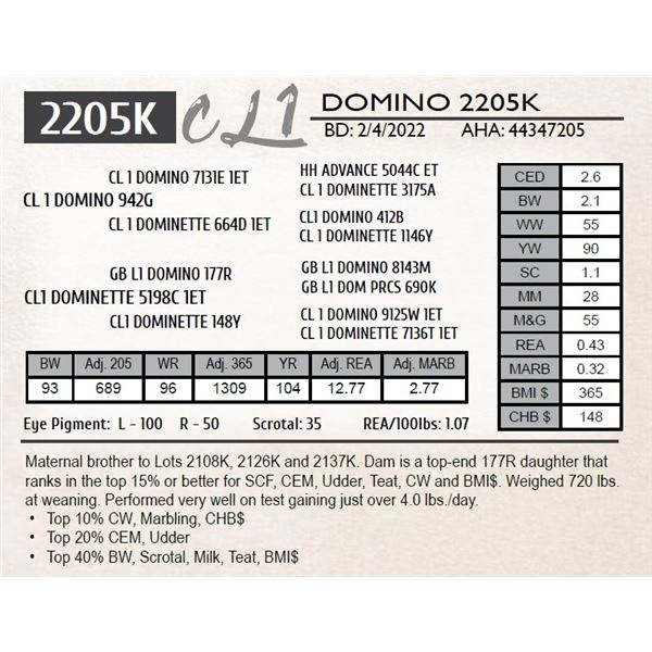 CL 1 DOMINO 2205K