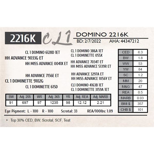 CL 1 DOMINO 2216K