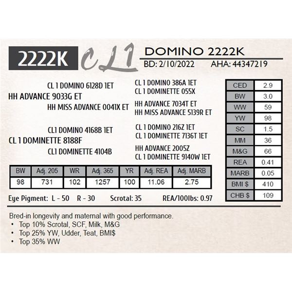 CL 1 DOMINO 2222K