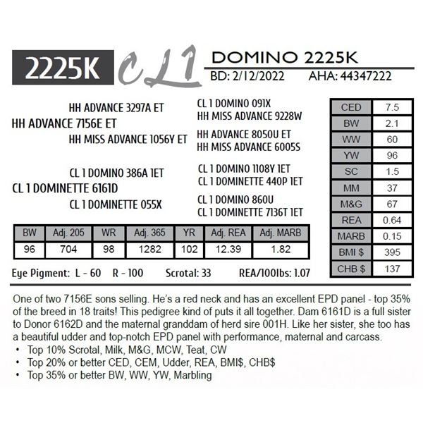 CL 1 DOMINO 2225K