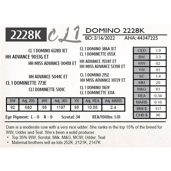 CL 1 DOMINO 2228K