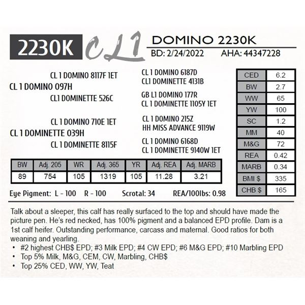 CL 1 DOMINO 2230K