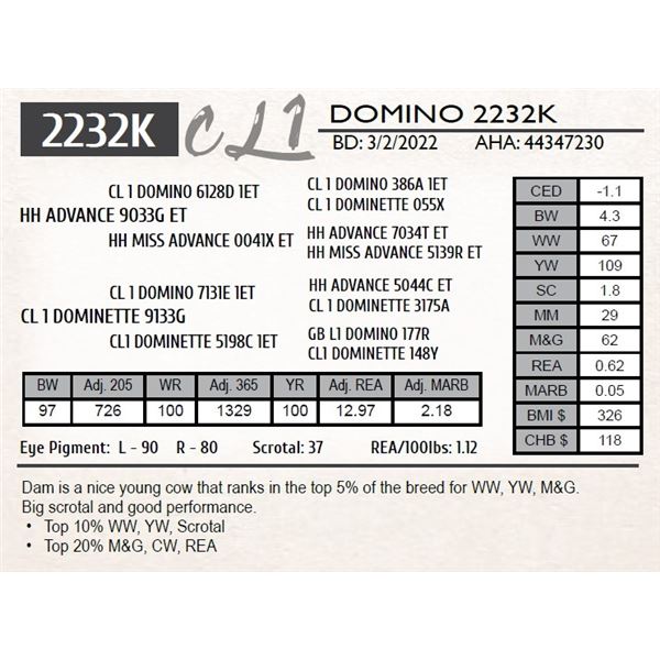 CL 1 DOMINO 2232K
