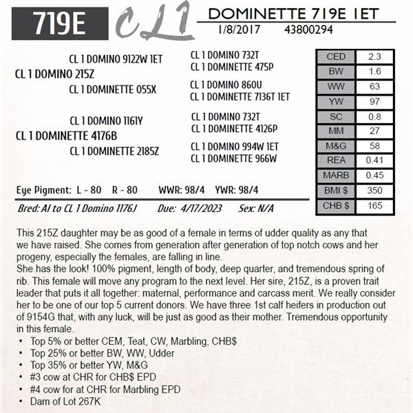 CL 1 DOMINETTE 719E 1ET