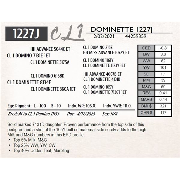 CL 1 DOMINETTE 1227J