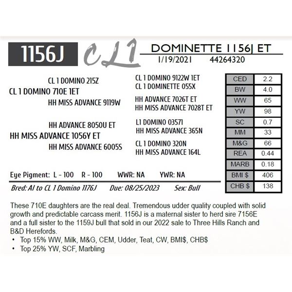 CL 1 DOMINETTE 1156J 1ET
