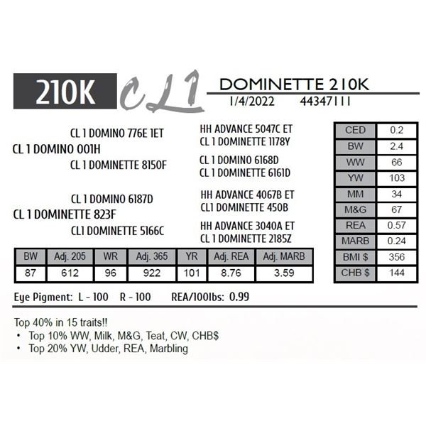 CL 1 DOMINETTE 210K