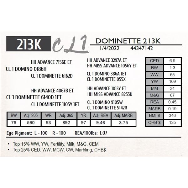 CL 1 DOMINETTE 213K