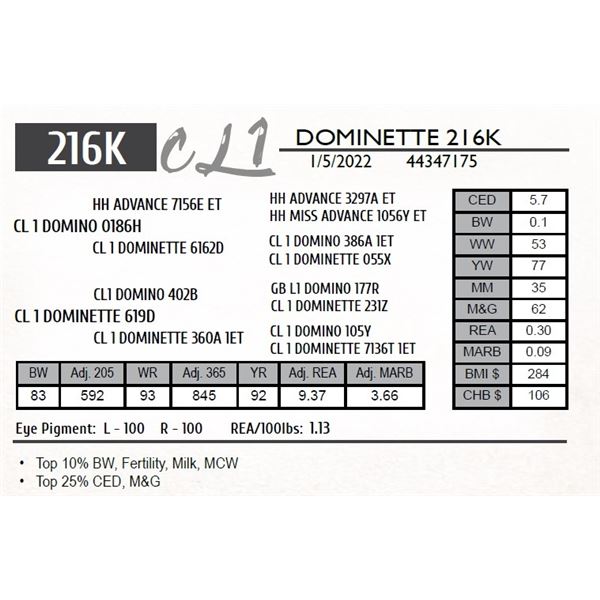CL 1 DOMINETTE 216K