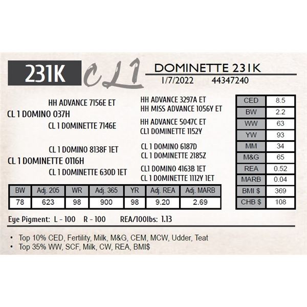 CL 1 DOMINETTE 231K