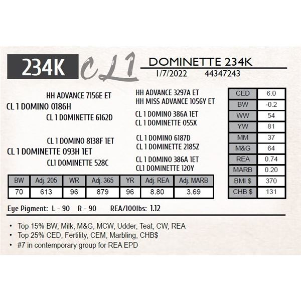 CL 1 DOMINETTE 234K