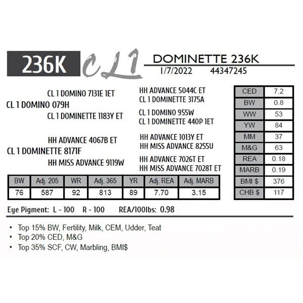 CL 1 DOMINETTE 236K