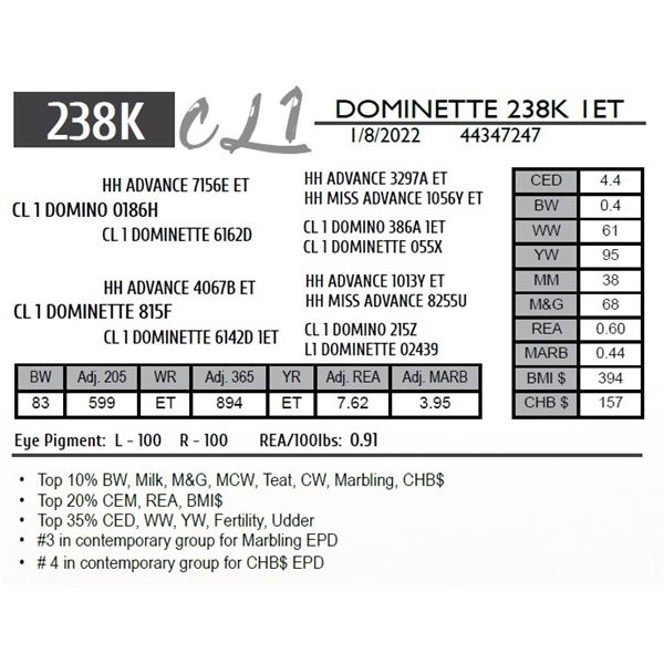 CL 1 DOMINETTE 238K 1ET