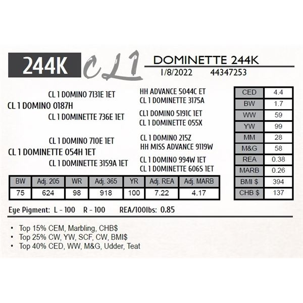 CL 1 DOMINETTE 244K