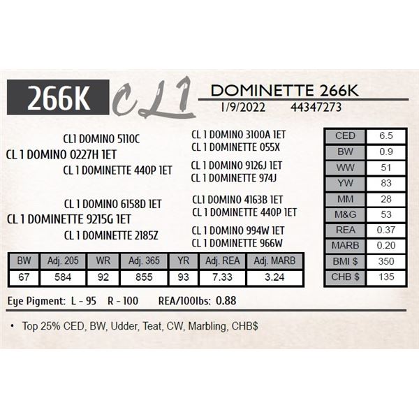 CL 1 DOMINETTE 266K