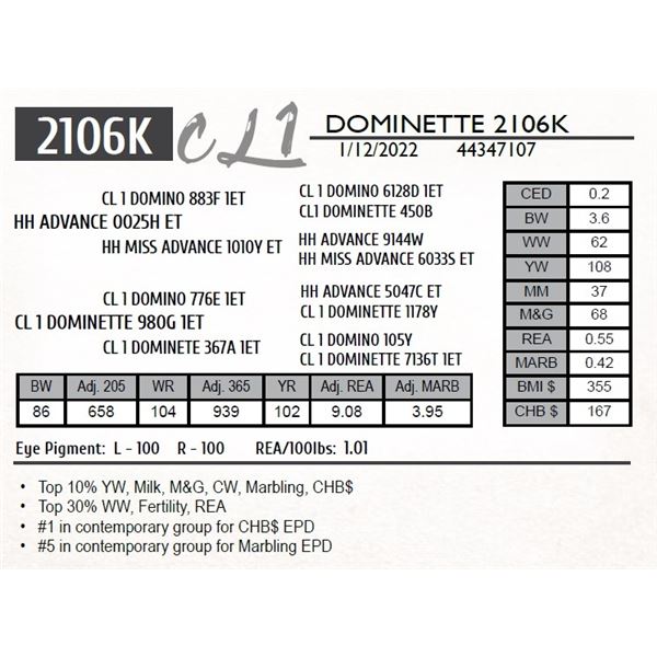 CL 1 DOMINETTE 2106K