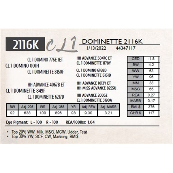 CL 1 DOMINETTE 2116K