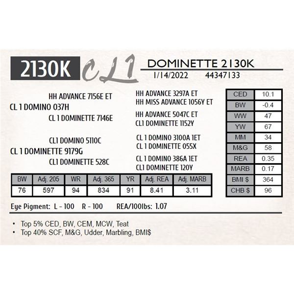 CL 1 DOMINETTE 2130K