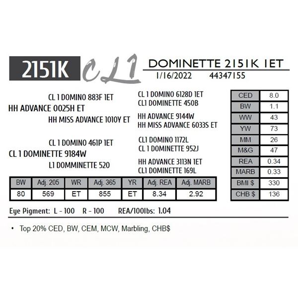 CL 1 DOMINETTE 2151K 1ET