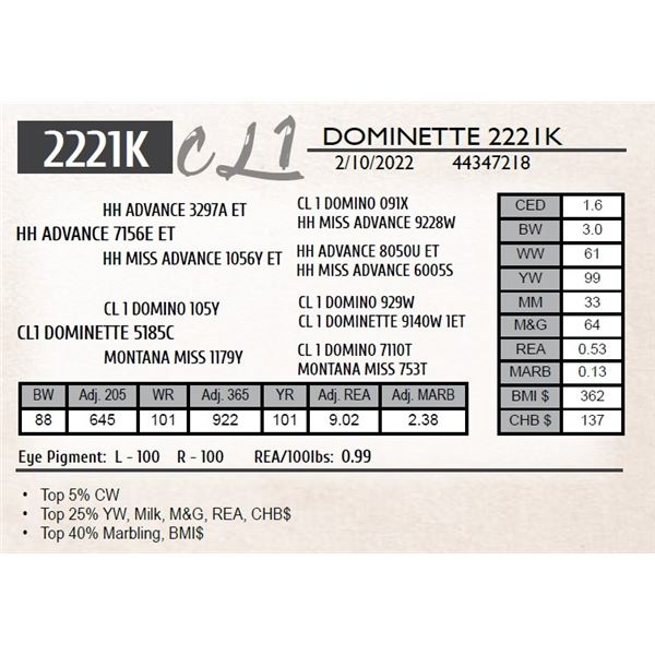 CL 1 DOMINETTE 2221K
