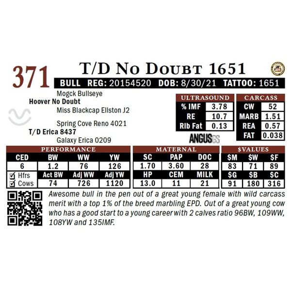 T/D No Doubt 1651