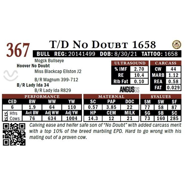 T/D No Doubt 1658