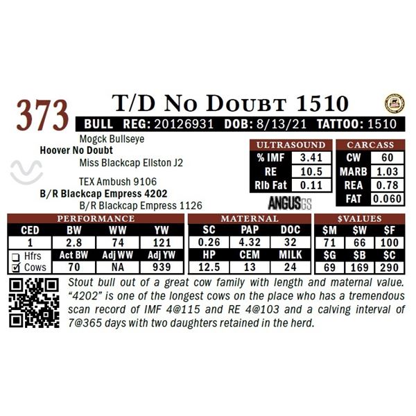 T/D No Doubt 1510