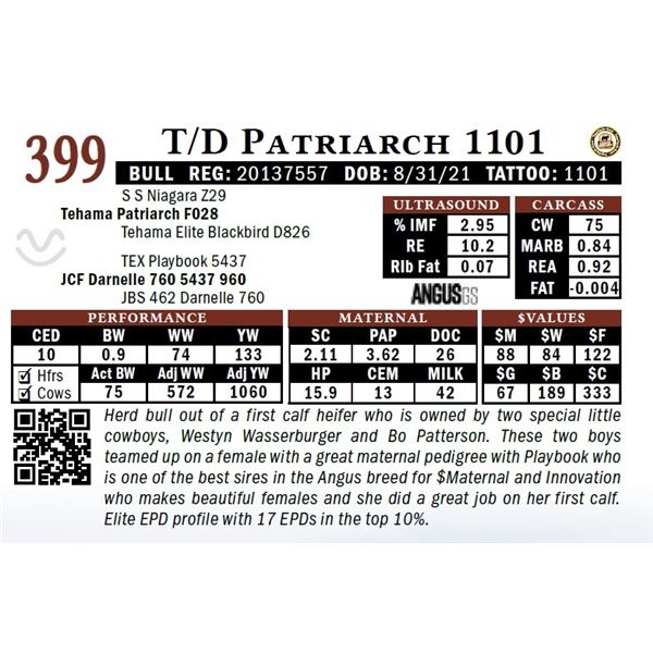 T/D Patriarch 1101