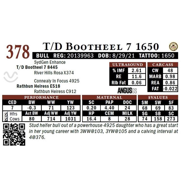 T/D Bootheel 7 1650