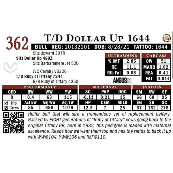 T/D Dollar Up 1644