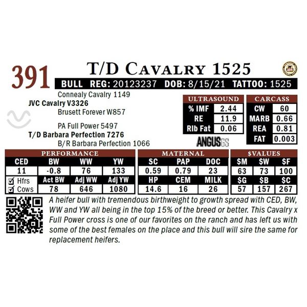 T/D Cavalry 1525