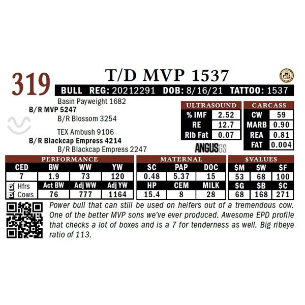 T/D MVP 1537