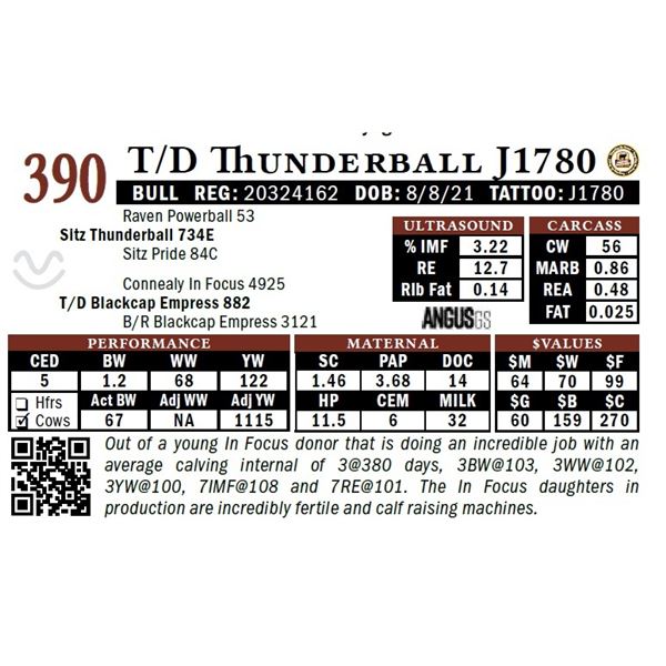 T/D Thunderball J1780