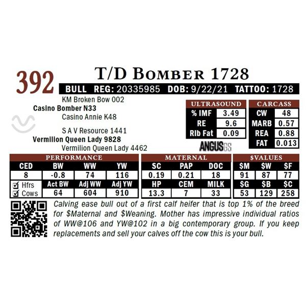 T/D Bomber 1728