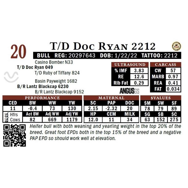 T/D Doc Ryan 2212