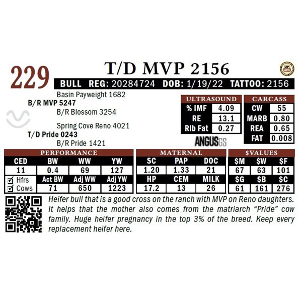 T/D MVP 2156