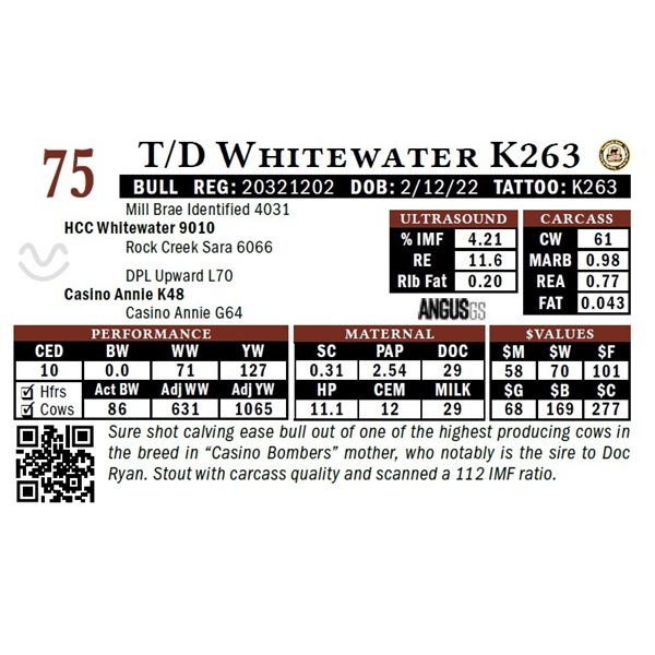 T/D Whitewater K263