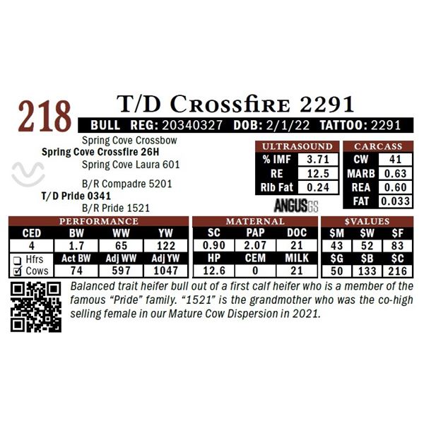 T/D Crossfire 2291 - NO VIDEO